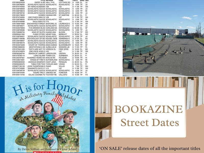 Bookazine, Co. Inc.