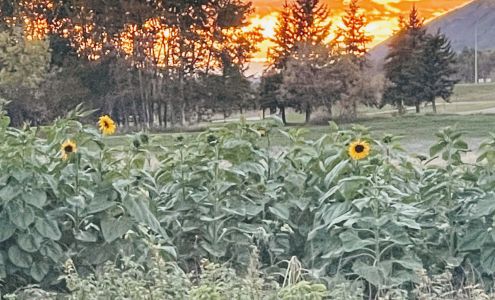 Dunvegan Gardens Fairview