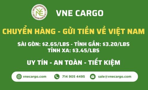VNE CARGO LLC