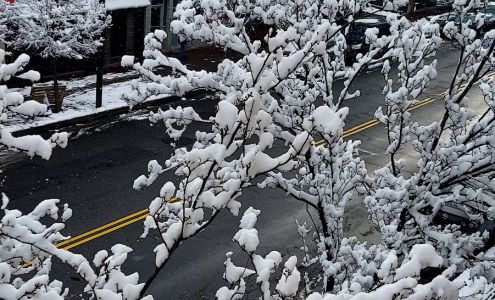 C C Travel & Multi Services Elizabethport