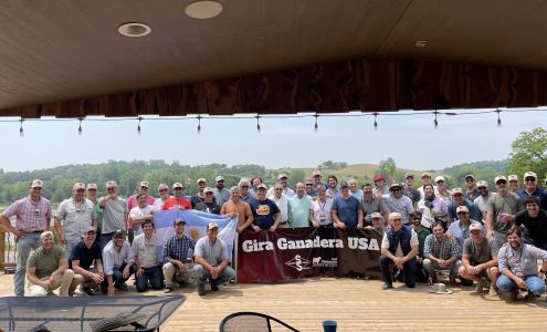 York Creek Red Angus Herman