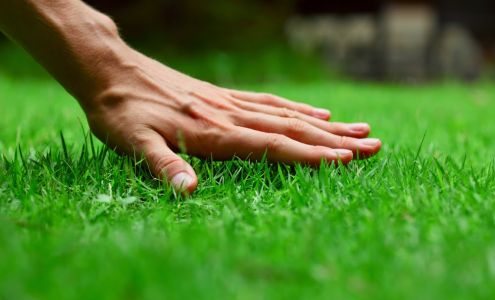 Turf Masters Lawn Care of Norcross