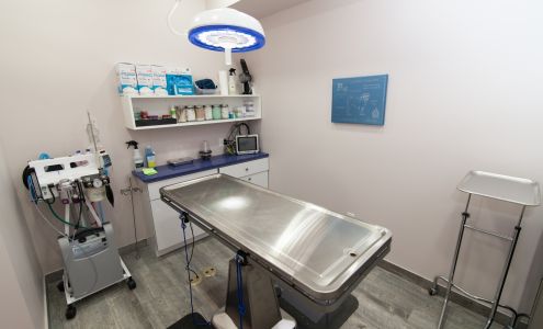 Veterinary Wellness Center of Boerum Hill