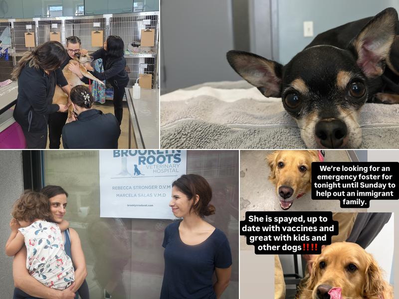 Brooklyn Roots Veterinary Hospital