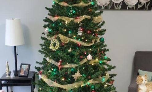 SHELDEN ACCOUNTING & TAX SERVICE, LLC