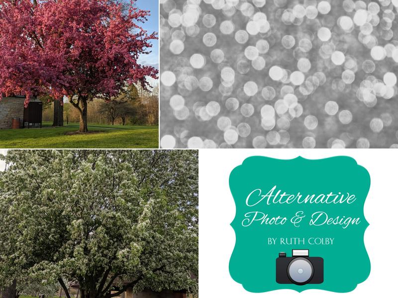 Alternative Photo Design