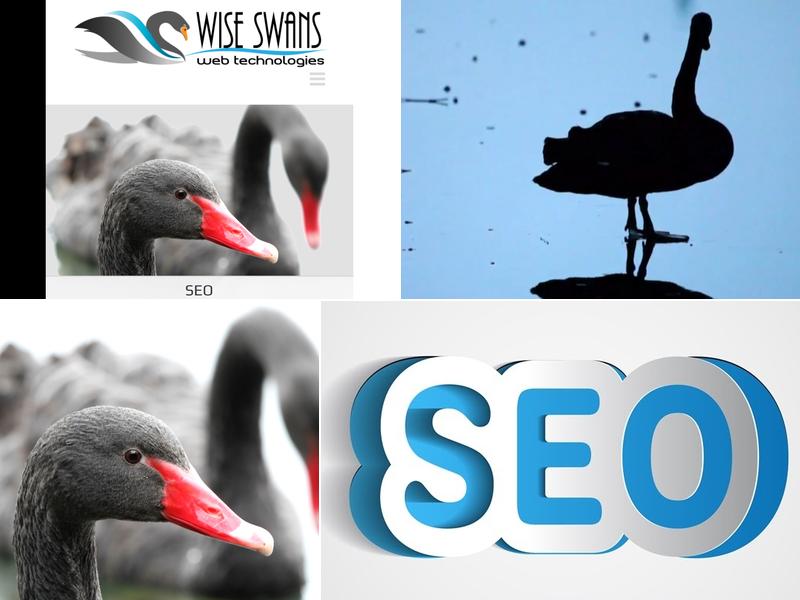 Wise Swans LLC