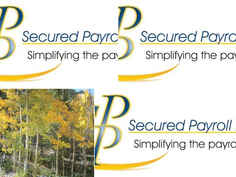 Secured Payroll Partners Inc