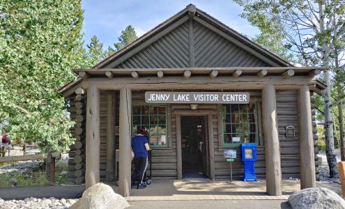 Jenny Lake Visitor Center Moose