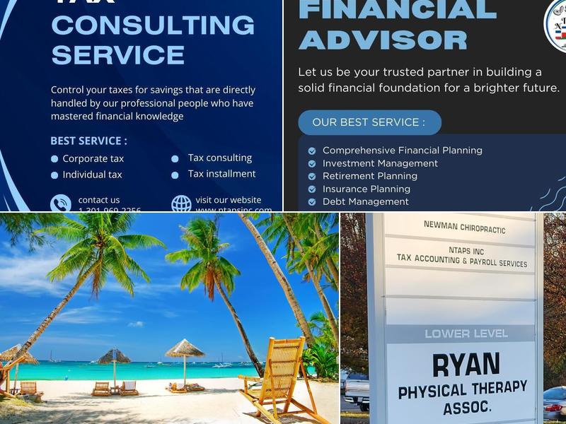 NTAPS INC (National Tax Accounting & Payroll Services Inc)