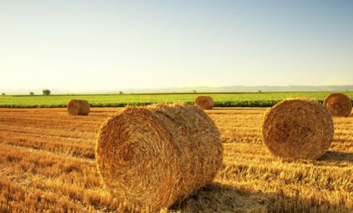 Johnson Auction And Realty