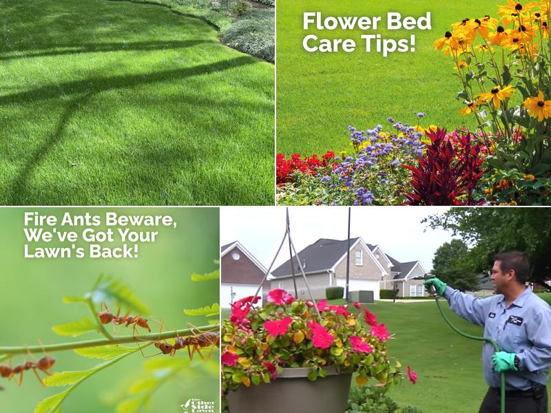 The Other Side Lawn Service