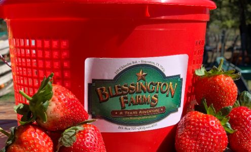 Blessington Farms Wallis
