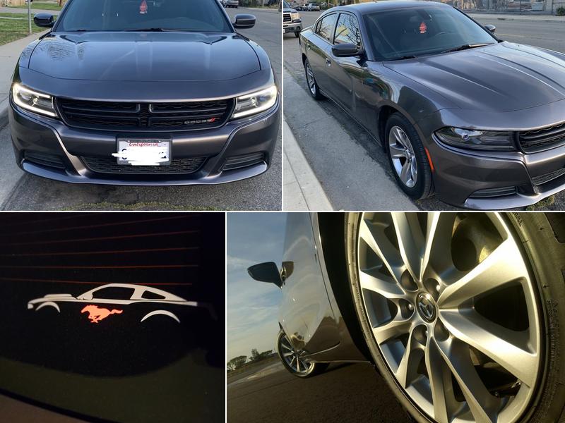 Mad Skillz Auto Detailing