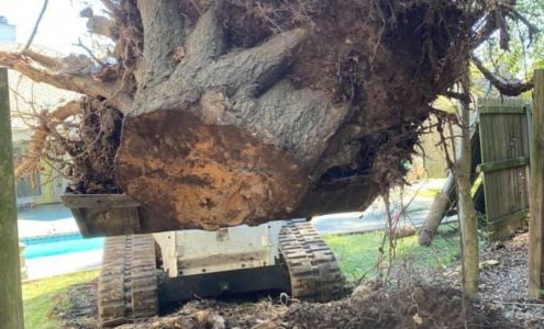 Logan's Tree Service 1152 W Main St, New Iberia Louisiana 70560