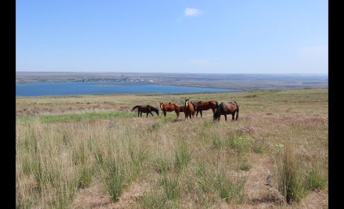 Pilot Rock Ranch Estates