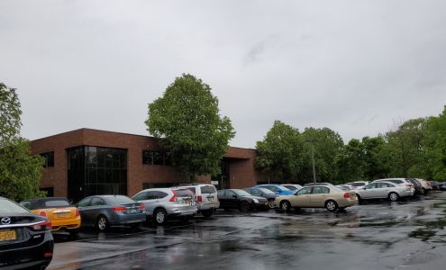 Jaufmann and Centola