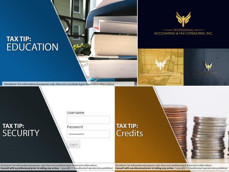 Professional Accounting & Tax Consulting, Inc.