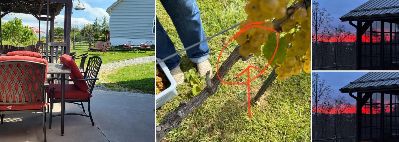 The New River Vineyard & Winery LLC