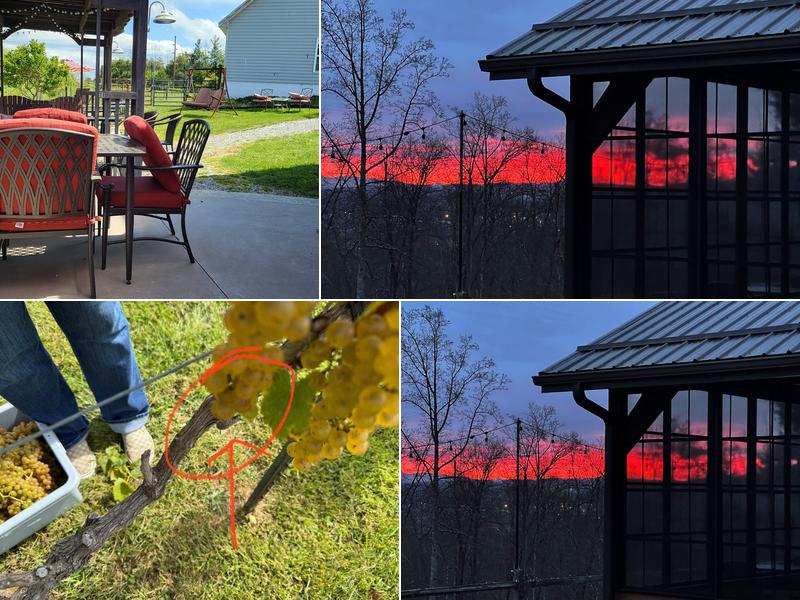 The New River Vineyard & Winery LLC