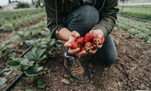 Marion Polk Food Share