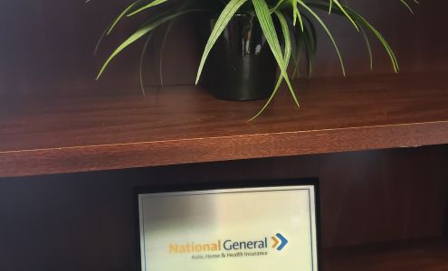 Alpha & Omega Insurance Group LLC