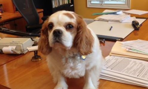 Mark L. Rosenbaum, CPA, PA