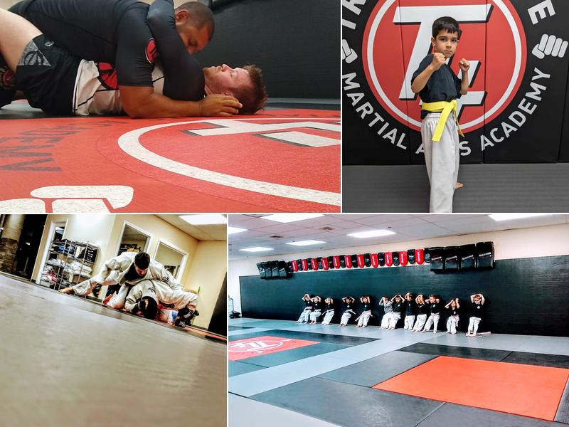 Training4Life Martial Arts Academy