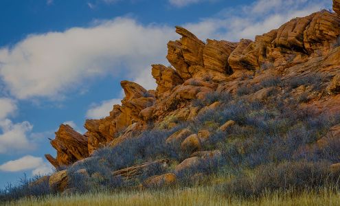 Dunnigan Financial Group