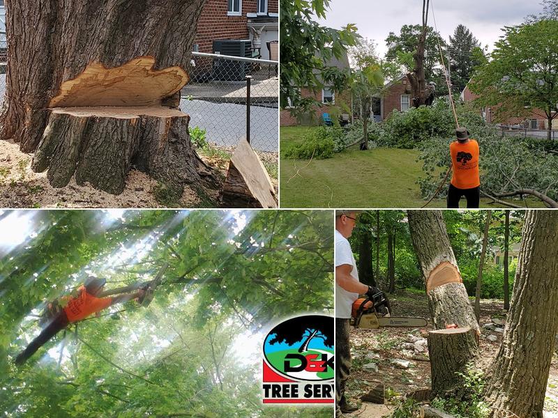 D & K Tree Services