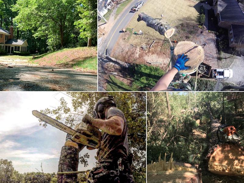 Arbor-All Tree Service