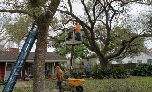 R J K's Tree Trimming & Removal El Campo Texas 