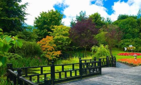 Mitchell Tree & Stump Service