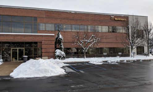 Merrill Lynch Wealth Management