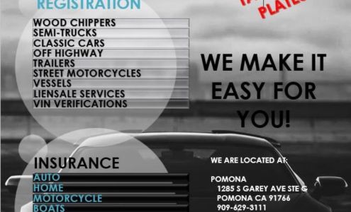 Ale Insurance, income tax & Vehicle Registration Services