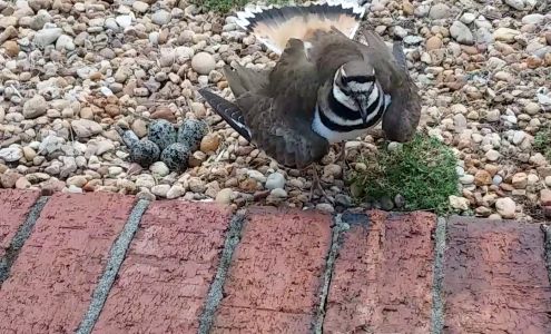 Community Baptist Church Danielsville