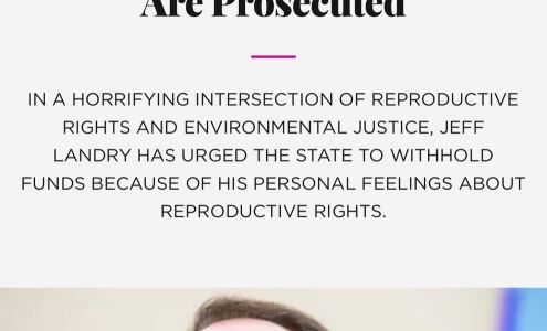 Queen D Tax Professionals