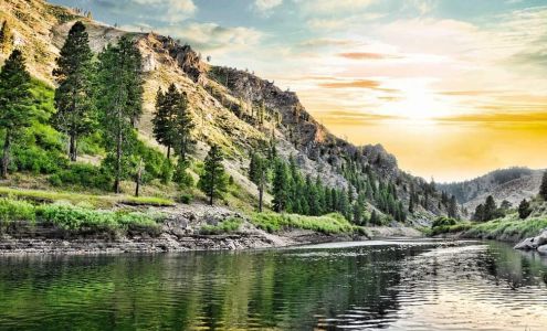 Clement Insurance Services