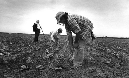 Texas RioGrande Legal Aid 114 N 6th St, Alpine Texas 79830
