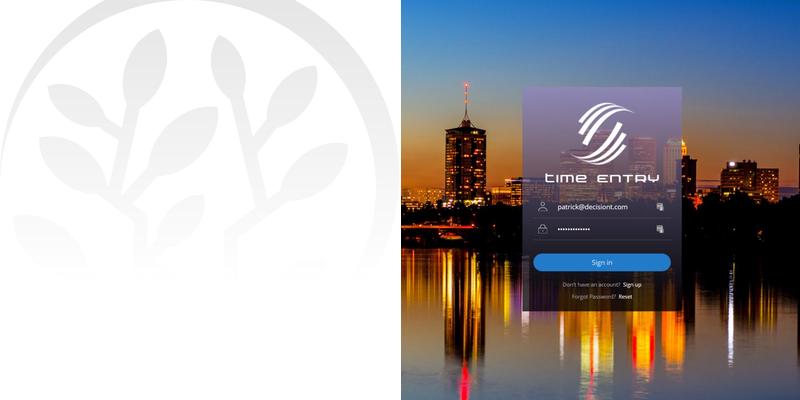 Software Development - Decision Tree Consulting LLC