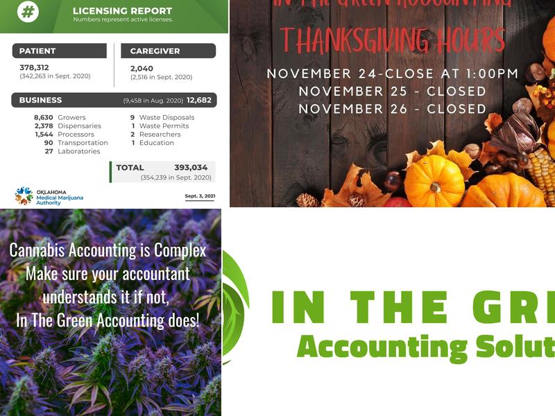 In The Green Accounting Solutions