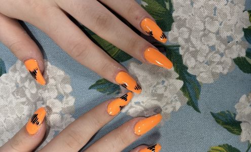 Pro Nail Bar & Organic Spa