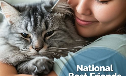 Broadview Animal Clinic: Sebor Jeremy DVM 10300 E Evans Ave, Denver Colorado 80247