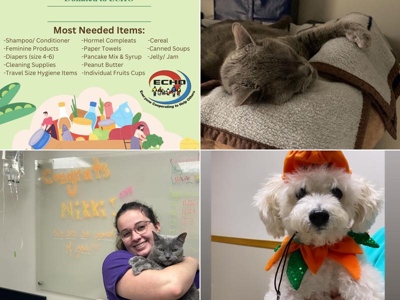 Blackhawk Veterinary Hospital: Utrie Joe DVM