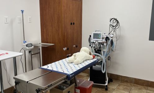 PetSmart Veterinary Services - Palm Springs