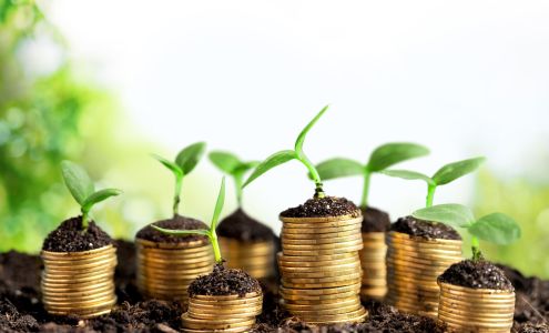 Lifetime Financial Growth