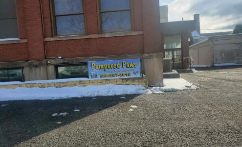 Bri's Pampered Paws Dog Grooming