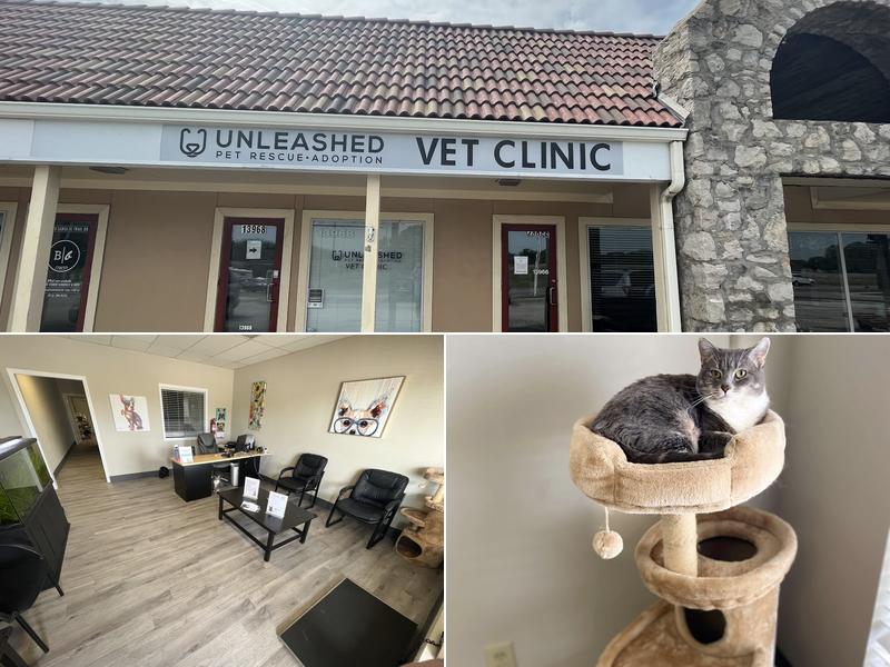Unleashed Vet Clinic