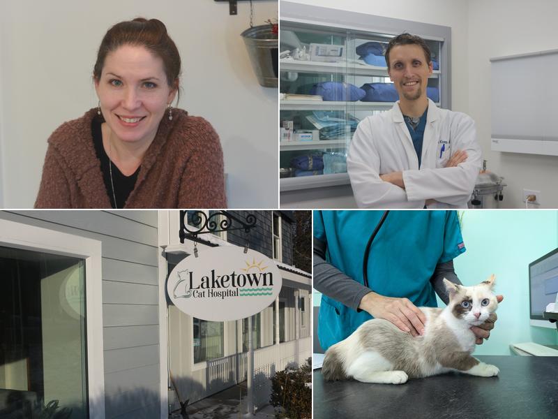 Laketown Cat Hospital