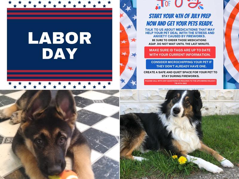 Tri-Town Veterinary Hospital